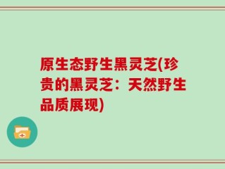 原生态野生黑灵芝(珍贵的黑灵芝：天然野生品质展现)