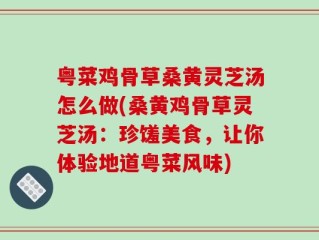 粤菜鸡骨草桑黄灵芝汤怎么做(桑黄鸡骨草灵芝汤：珍馐美食，让你体验地道粤菜风味)