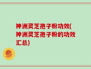 神洲灵芝孢子粉功效(神洲灵芝孢子粉的功效汇总)