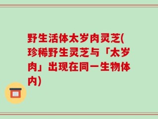 野生活体太岁肉灵芝(珍稀野生灵芝与「太岁肉」出现在同一生物体内)