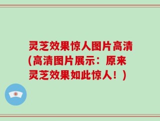 灵芝效果惊人图片高清(高清图片展示：原来灵芝效果如此惊人！)