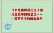 什么是菌像灵芝孢子图片菌类中的明星之一——灵芝孢子的形象展示)