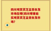 四川观赏灵芝盆景批发市场在哪(四川哪里能买观赏灵芝盆景批发市场？