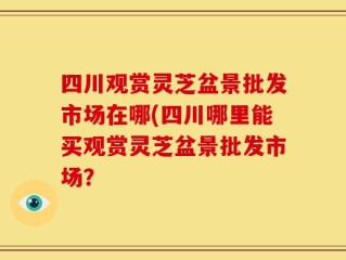四川观赏灵芝盆景批发市场在哪(四川哪里能买观赏灵芝盆景批发市场？