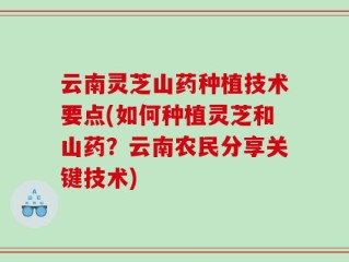 云南灵芝山药种植技术要点(如何种植灵芝和山药？云南农民分享关键技术)