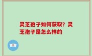 灵芝孢子如何获取？灵芝孢子是怎么样的