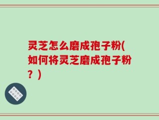 灵芝怎么磨成孢子粉(如何将灵芝磨成孢子粉？)