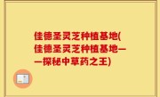 佳德圣灵芝种植基地(佳德圣灵芝种植基地——探秘中草药之王)