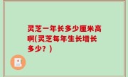 灵芝一年长多少厘米高啊(灵芝每年生长增长多少？)