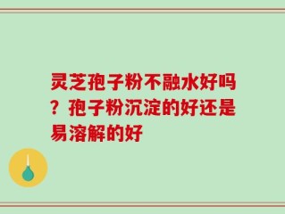 灵芝孢子粉不融水好吗？孢子粉沉淀的好还是易溶解的好
