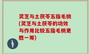 灵芝与土茯苓五指毛桃(灵芝与土茯苓的功效与作用比较五指毛桃更胜一筹)
