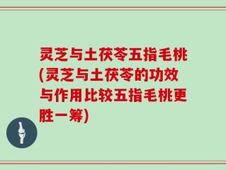 灵芝与土茯苓五指毛桃(灵芝与土茯苓的功效与作用比较五指毛桃更胜一筹)