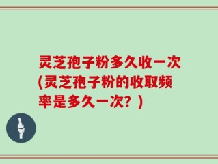 灵芝孢子粉多久收一次(灵芝孢子粉的收取频率是多久一次？)