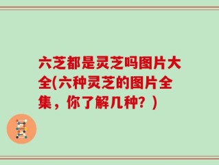 六芝都是灵芝吗图片大全(六种灵芝的图片全集，你了解几种？)