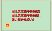 湖北灵芝孢子粉破壁(湖北灵芝孢子粉破壁，强力提升免疫力)