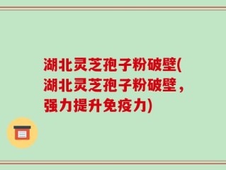 湖北灵芝孢子粉破壁(湖北灵芝孢子粉破壁，强力提升免疫力)