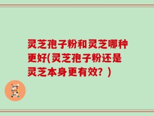灵芝孢子粉和灵芝哪种更好(灵芝孢子粉还是灵芝本身更有效？)
