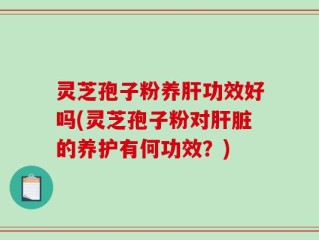灵芝孢子粉养肝功效好吗(灵芝孢子粉对肝脏的养护有何功效？)