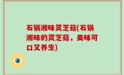石锅湘味灵芝菇(石锅湘味的灵芝菇，美味可口又养生)