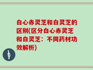 白心赤灵芝和白灵芝的区别(区分白心赤灵芝和白灵芝：不同药材功效解析)