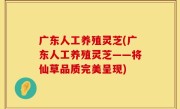 广东人工养殖灵芝(广东人工养殖灵芝——将仙草品质完美呈现)