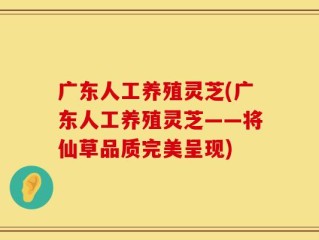 广东人工养殖灵芝(广东人工养殖灵芝——将仙草品质完美呈现)