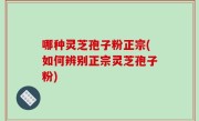 哪种灵芝孢子粉正宗(如何辨别正宗灵芝孢子粉)