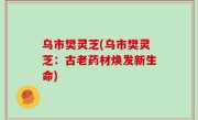 乌市樊灵芝(乌市樊灵芝：古老药材焕发新生命)