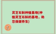 灵芝石斛种植基地(种植灵芝石斛的基地，助您保健养生)