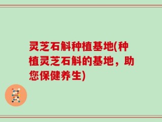 灵芝石斛种植基地(种植灵芝石斛的基地，助您保健养生)