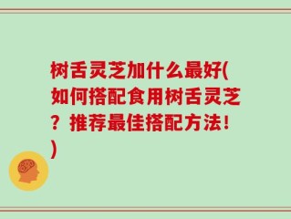 树舌灵芝加什么最好(如何搭配食用树舌灵芝？推荐最佳搭配方法！)