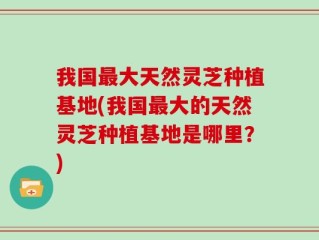 我国最大天然灵芝种植基地(我国最大的天然灵芝种植基地是哪里？)