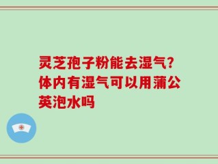 灵芝孢子粉能去湿气？体内有湿气可以用蒲公英泡水吗