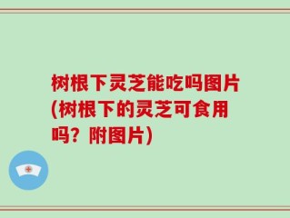 树根下灵芝能吃吗图片(树根下的灵芝可食用吗？附图片)