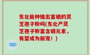 东北能种植出富硒的灵芝孢子粉吗(东北产灵芝孢子粉富含硒元素，有望成为新宠！)