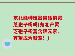 东北能种植出富硒的灵芝孢子粉吗(东北产灵芝孢子粉富含硒元素，有望成为新宠！)