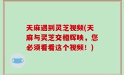天麻遇到灵芝视频(天麻与灵芝交相辉映，您必须看看这个视频！)