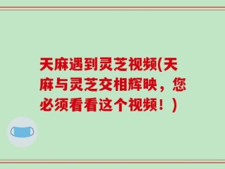 天麻遇到灵芝视频(天麻与灵芝交相辉映，您必须看看这个视频！)