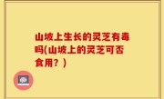 山坡上生长的灵芝有毒吗(山坡上的灵芝可否食用？)