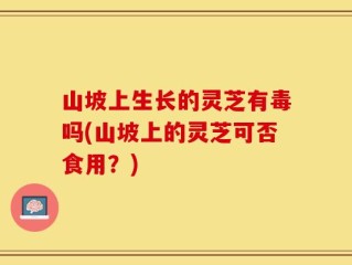 山坡上生长的灵芝有毒吗(山坡上的灵芝可否食用？)