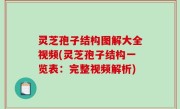 灵芝孢子结构图解大全视频(灵芝孢子结构一览表：完整视频解析)