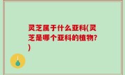 灵芝属于什么亚科(灵芝是哪个亚科的植物？)