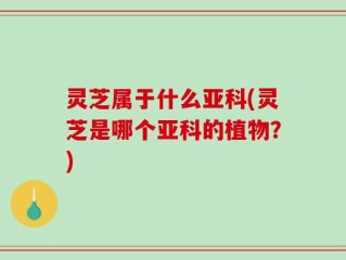 灵芝属于什么亚科(灵芝是哪个亚科的植物？)