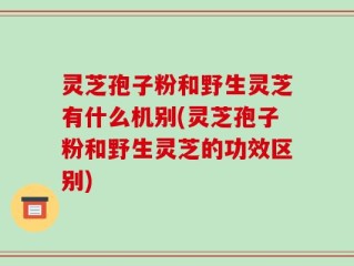 灵芝孢子粉和野生灵芝有什么机别(灵芝孢子粉和野生灵芝的功效区别)