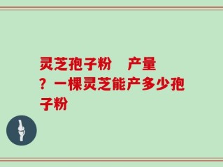 灵芝孢子粉   产量？一棵灵芝能产多少孢子粉