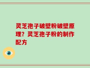 灵芝孢子破壁粉破壁原理？灵芝孢子粉的制作配方