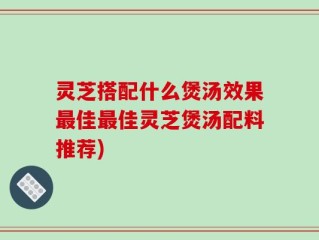 灵芝搭配什么煲汤效果最佳最佳灵芝煲汤配料推荐)