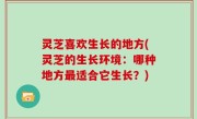 灵芝喜欢生长的地方(灵芝的生长环境：哪种地方最适合它生长？)