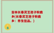 吉林长春灵芝孢子粉鹿乡(长春灵芝孢子粉鹿乡：养生佳品。)