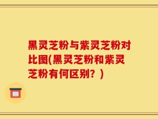 黑灵芝粉与紫灵芝粉对比图(黑灵芝粉和紫灵芝粉有何区别？)